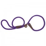 buy slip lead kennel leashes training