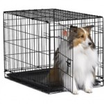buy Midwest Icrate for large dogs